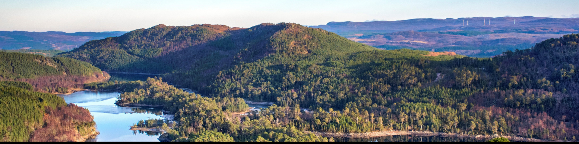 An image of the Dundreggan project coordinated by Trees for Life